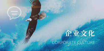 帝江工業(yè)自動(dòng)化